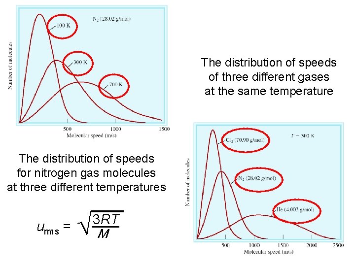 The distribution of speeds of three different gases at the same temperature The distribution