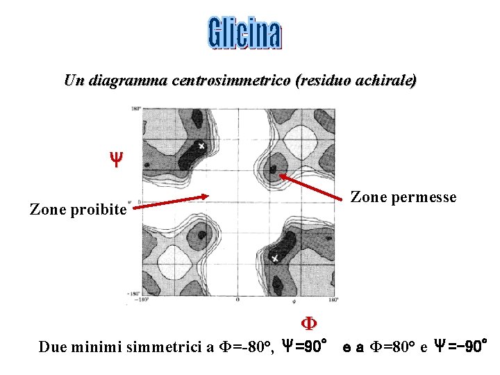 Un diagramma centrosimmetrico (residuo achirale) Ψ Zone permesse Zone proibite Φ Due minimi simmetrici