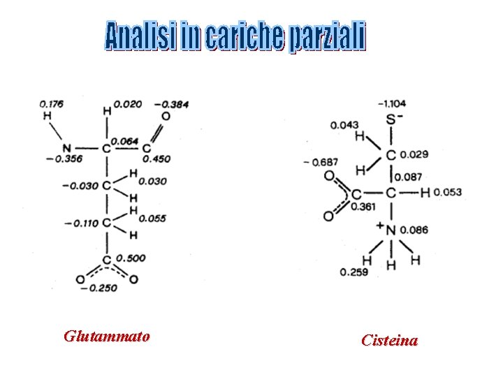Glutammato Cisteina 