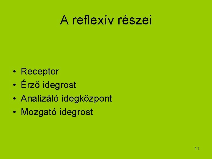 A reflexív részei • • Receptor Érző idegrost Analizáló idegközpont Mozgató idegrost 11 