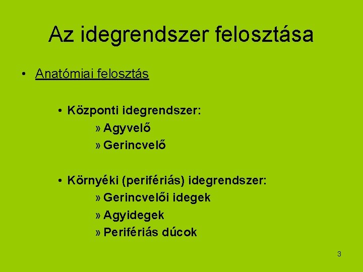 Az idegrendszer felosztása • Anatómiai felosztás • Központi idegrendszer: » Agyvelő » Gerincvelő •