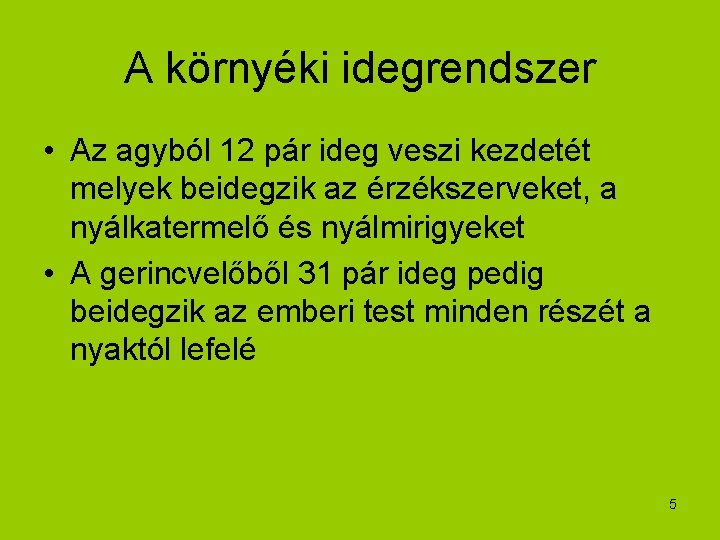 A környéki idegrendszer • Az agyból 12 pár ideg veszi kezdetét melyek beidegzik az