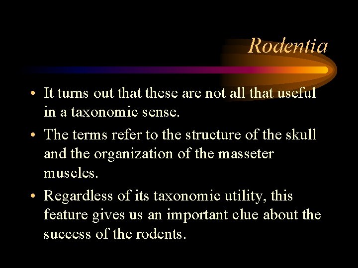 Rodentia • It turns out that these are not all that useful in a