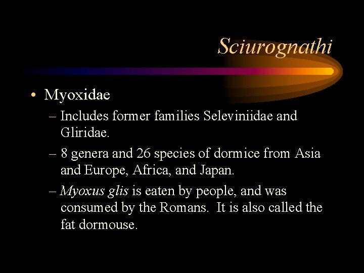 Sciurognathi • Myoxidae – Includes former families Seleviniidae and Gliridae. – 8 genera and