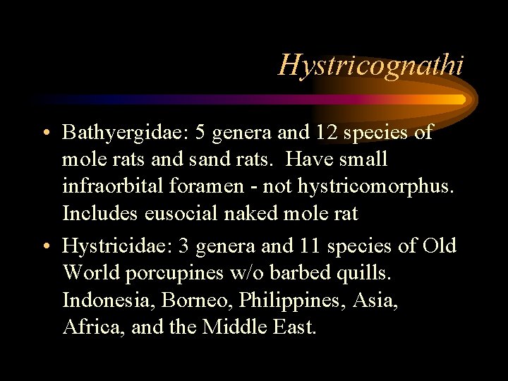Hystricognathi • Bathyergidae: 5 genera and 12 species of mole rats and sand rats.