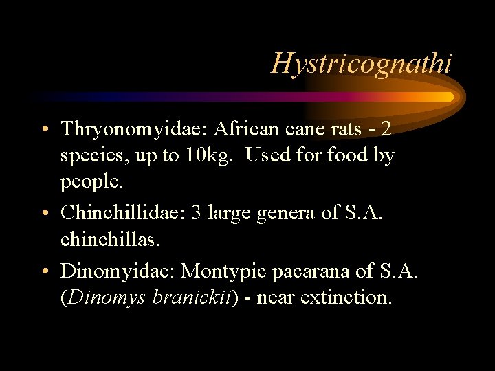 Hystricognathi • Thryonomyidae: African cane rats - 2 species, up to 10 kg. Used