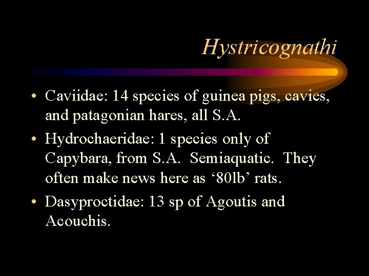 Hystricognathi • Caviidae: 14 species of guinea pigs, cavies, and patagonian hares, all S.