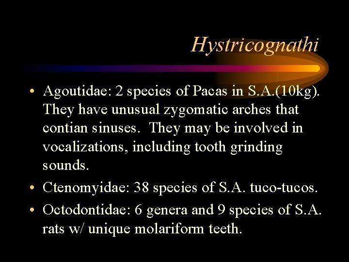 Hystricognathi • Agoutidae: 2 species of Pacas in S. A. (10 kg). They have