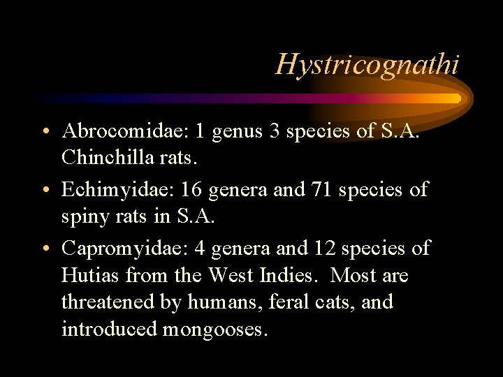 Hystricognathi • Abrocomidae: 1 genus 3 species of S. A. Chinchilla rats. • Echimyidae: