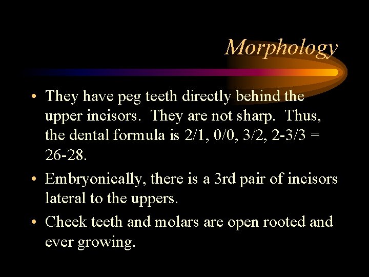 Morphology • They have peg teeth directly behind the upper incisors. They are not