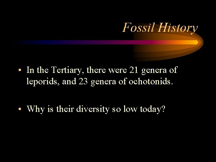Fossil History • In the Tertiary, there were 21 genera of leporids, and 23