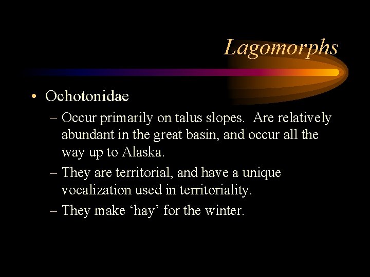 Lagomorphs • Ochotonidae – Occur primarily on talus slopes. Are relatively abundant in the