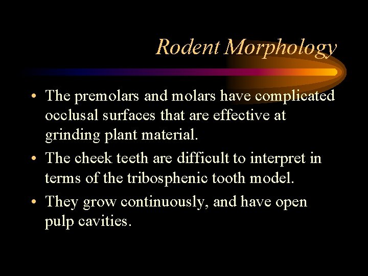 Rodent Morphology • The premolars and molars have complicated occlusal surfaces that are effective