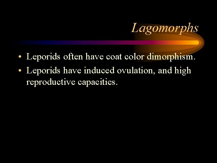 Lagomorphs • Leporids often have coat color dimorphism. • Leporids have induced ovulation, and