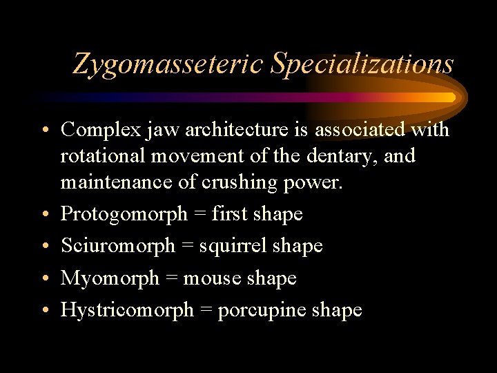 Zygomasseteric Specializations • Complex jaw architecture is associated with rotational movement of the dentary,