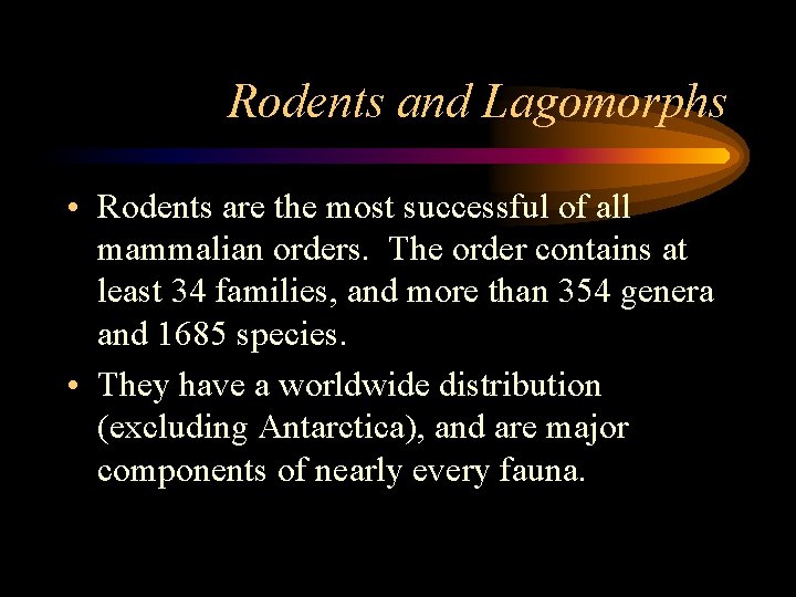 Rodents and Lagomorphs • Rodents are the most successful of all mammalian orders. The