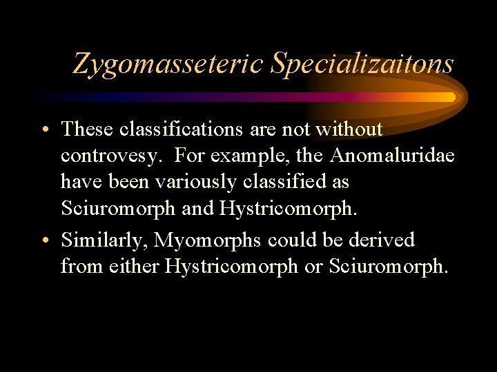Zygomasseteric Specializaitons • These classifications are not without controvesy. For example, the Anomaluridae have