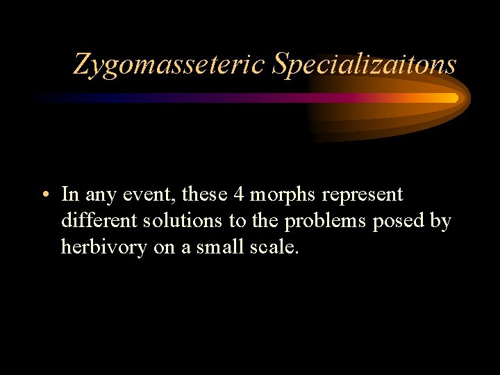 Zygomasseteric Specializaitons • In any event, these 4 morphs represent different solutions to the