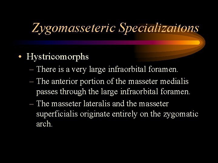 Zygomasseteric Specializaitons • Hystricomorphs – There is a very large infraorbital foramen. – The