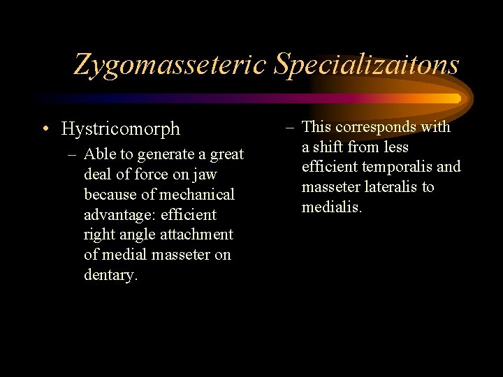 Zygomasseteric Specializaitons • Hystricomorph – Able to generate a great deal of force on