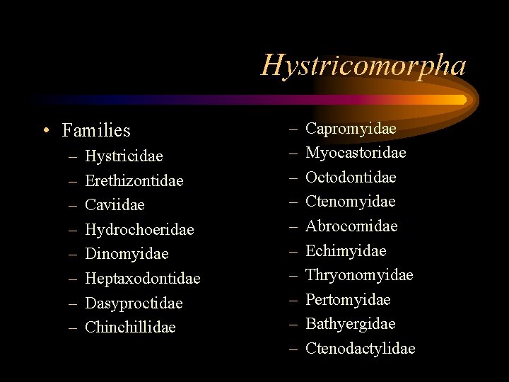 Hystricomorpha • Families – – – – Hystricidae Erethizontidae Caviidae Hydrochoeridae Dinomyidae Heptaxodontidae Dasyproctidae