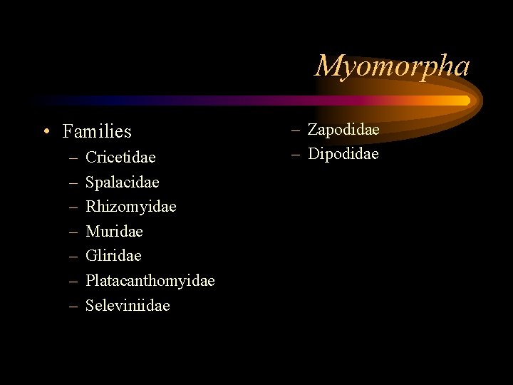 Myomorpha • Families – – – – Cricetidae Spalacidae Rhizomyidae Muridae Gliridae Platacanthomyidae Seleviniidae
