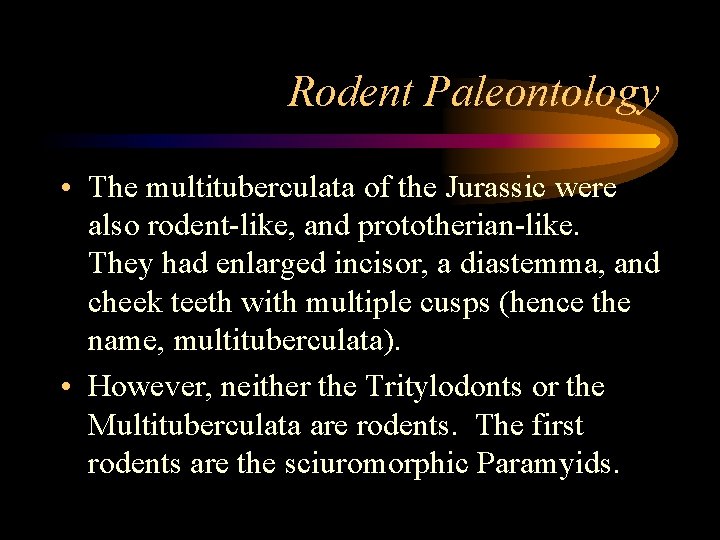 Rodent Paleontology • The multituberculata of the Jurassic were also rodent-like, and prototherian-like. They