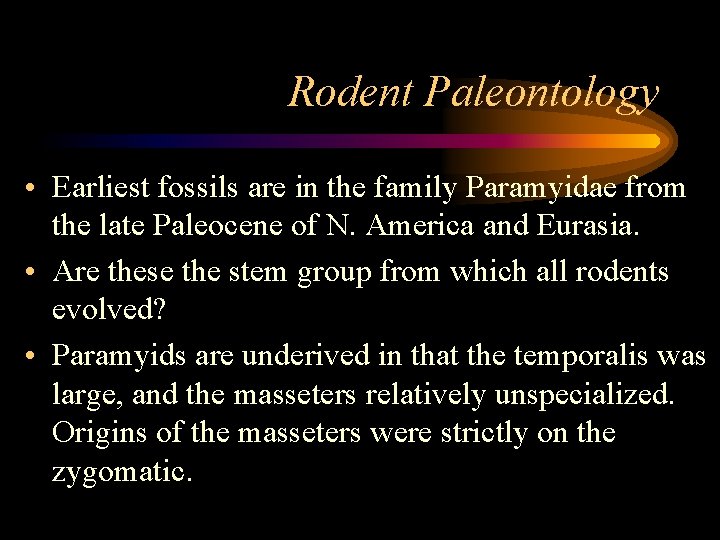 Rodent Paleontology • Earliest fossils are in the family Paramyidae from the late Paleocene