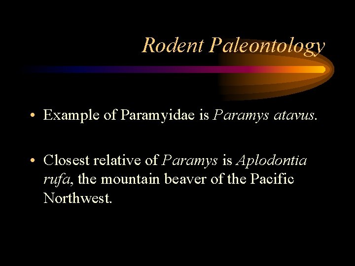 Rodent Paleontology • Example of Paramyidae is Paramys atavus. • Closest relative of Paramys