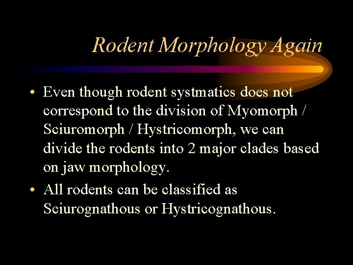 Rodent Morphology Again • Even though rodent systmatics does not correspond to the division