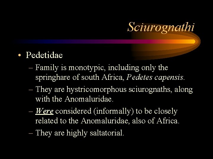 Sciurognathi • Pedetidae – Family is monotypic, including only the springhare of south Africa,