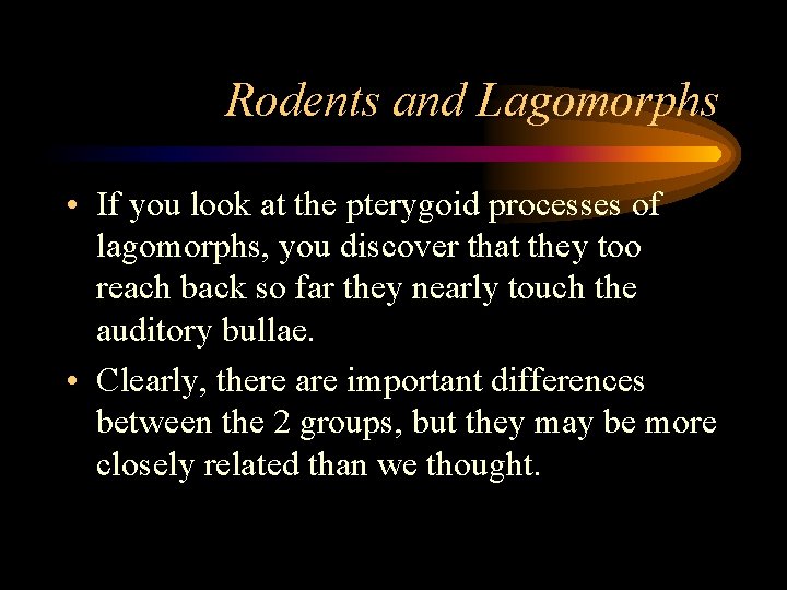 Rodents and Lagomorphs • If you look at the pterygoid processes of lagomorphs, you