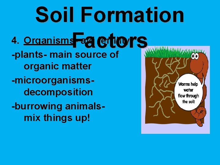 Soil Formation 4. Organisms. Factors - aid fertility -plants- main source of organic matter
