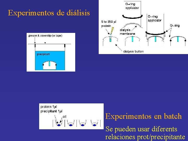 Experimentos de diálisis Experimentos en batch Se pueden usar diferents relaciones prot/precipitante 