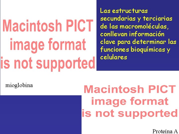 Las estructuras secundarias y terciarias de las macromoléculas, conllevan información clave para determinar las