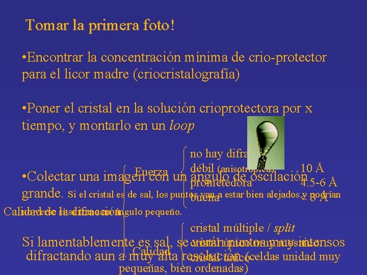 Tomar la primera foto! • Encontrar la concentración mínima de crio-protector para el licor