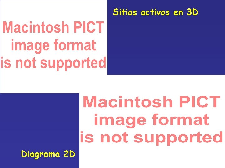 Sitios activos en 3 D Diagrama 2 D 