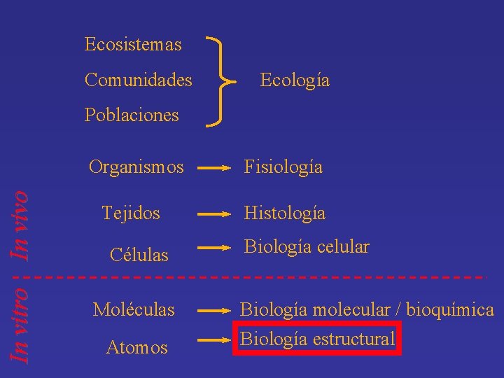 Ecosistemas Comunidades Ecología In vitro In vivo Poblaciones Organismos Fisiología Tejidos Histología Células Moléculas