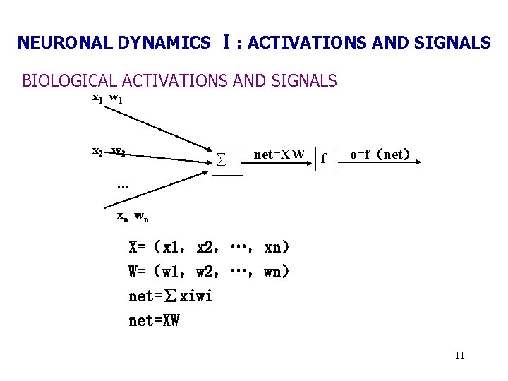 NEURONAL DYNAMICS Ⅰ: ACTIVATIONS AND SIGNALS BIOLOGICAL ACTIVATIONS AND SIGNALS x 1 w 1