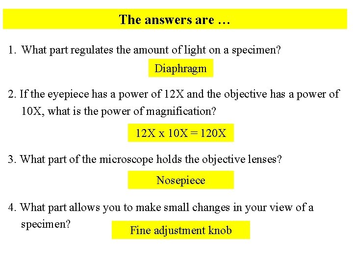 The answers are … 1. What part regulates the amount of light on a
