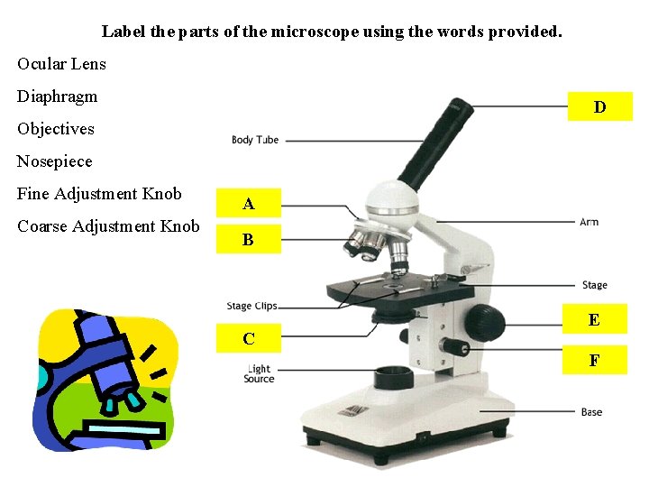 Label the parts of the microscope using the words provided. Ocular Lens Diaphragm D
