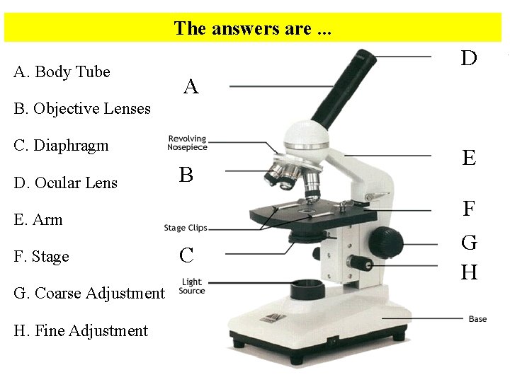 The answers are. . . A. Body Tube D A B. Objective Lenses C.