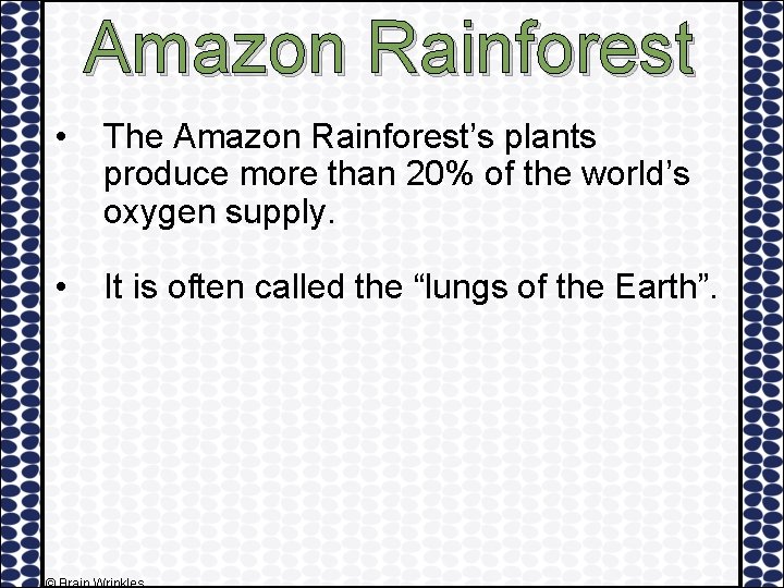 Amazon Rainforest • The Amazon Rainforest’s plants produce more than 20% of the world’s