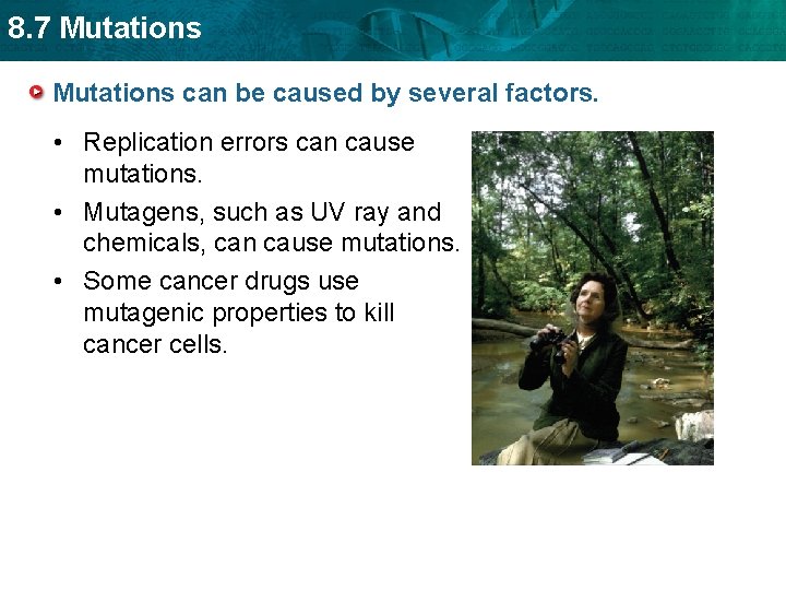 8. 7 Mutations can be caused by several factors. • Replication errors can cause