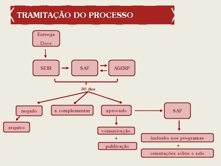 TRAMITAÇÃO DO PROCESSO Entrega Docs SEIR SAF AGERP 30 dias negado arquivo a complementar