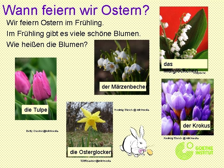 Wann feiern wir Ostern? Wir feiern Ostern im Frühling. Im Frühling gibt es viele