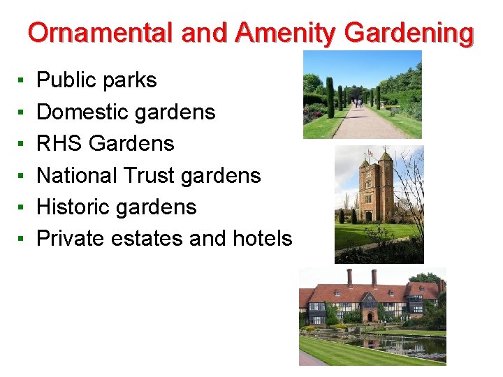 Ornamental and Amenity Gardening ▪ ▪ ▪ Public parks Domestic gardens RHS Gardens National