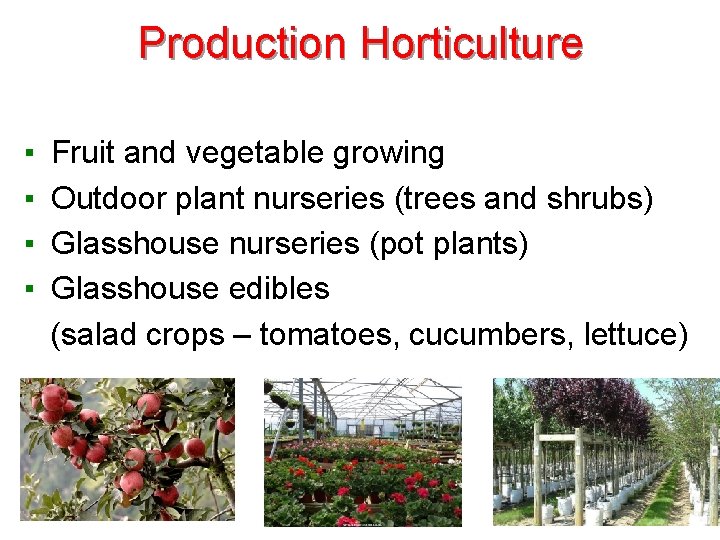 Production Horticulture ▪ ▪ Fruit and vegetable growing Outdoor plant nurseries (trees and shrubs)