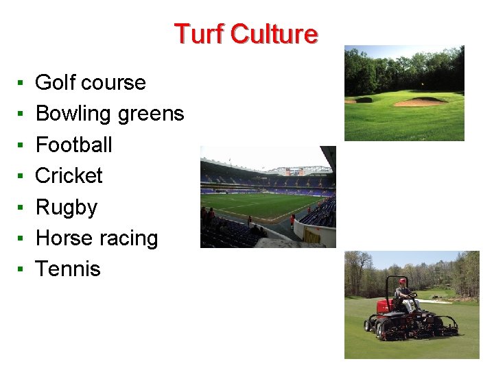 Turf Culture ▪ ▪ ▪ ▪ Golf course Bowling greens Football Cricket Rugby Horse