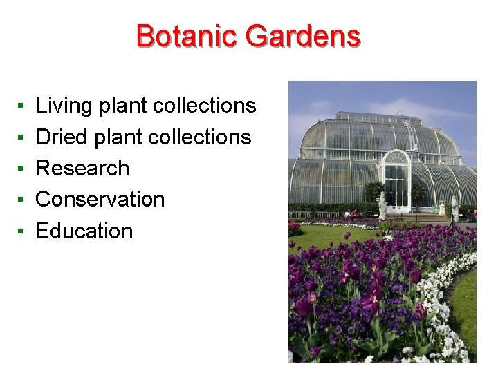 Botanic Gardens ▪ ▪ ▪ Living plant collections Dried plant collections Research Conservation Education